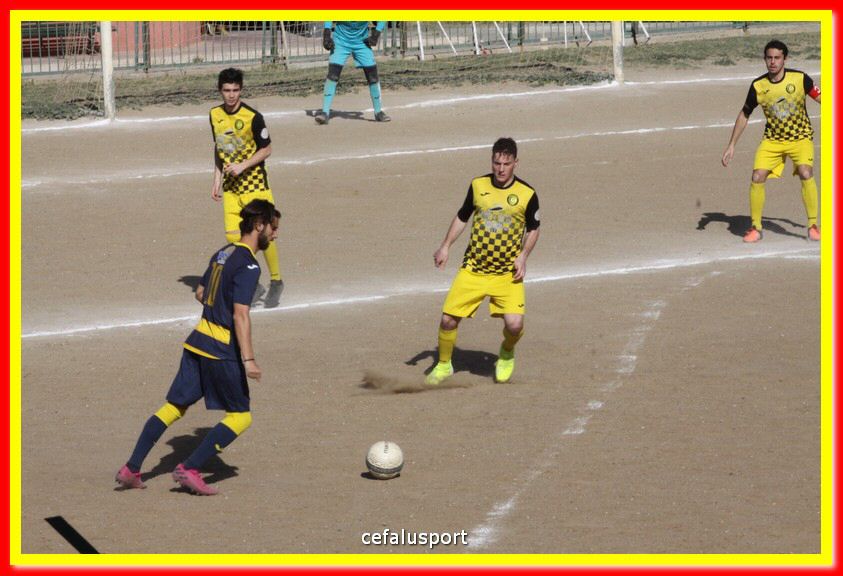 200301 Cepha_Mazara 032.jpg